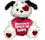 Puppy Dog "You Have A Spot In My Heart" Plush Valentine's Day Stuffed Animal Gift