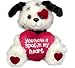Puppy Dog "You Have A Spot In My Heart" Plush Valentine's Day Stuffed Animal Gift