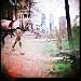 Lomography Diana Splitzer +, Multiple Image Device for the Diana and Diana+ M... image 2