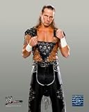 SHAWN MICHAELS WWE GLOSSY COLOR 8 x 10 WRESTLING PHOTO
