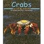 Crabs (Ocean Life)