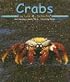 Crabs (Ocean Life)