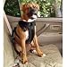 Solvit Large Pet Vehicle Safety Harness