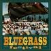 Bluegrass Festival