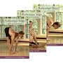 The Ashtanga Yoga Collection