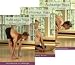 The Ashtanga Yoga Collection