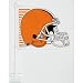 Cleveland Browns Car Flag