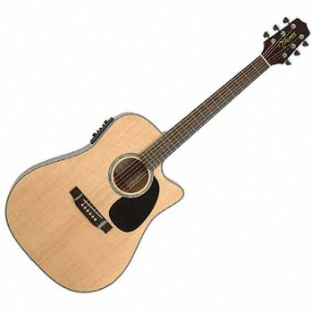 Childrens Toyshop  Musical Instruments : Takamine EG530SC Natural