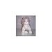 Webkinz Lil Kinz Grey Cat
