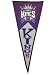 Sacramento Kings Classic Pennant