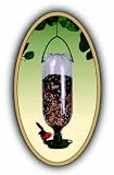 Soda Bottle Wild Bird Feeder, Set of 12 Feeders