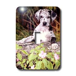 Dogs Great Dane - Great Dane Puppy - Light Switch Covers - single toggle switch