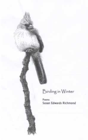 Birding