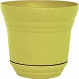 10 &acute; Honey Denali Planter PIM0975010712 - B000BZ8GZK