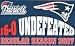 New England Patriots 16-0 Undefeated Pin (rectangular)