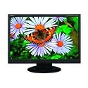 NEC AccuSync LCD194WXM-BK - LCD display - TFT - 19" - widescreen - 1440 x 900 / 75 Hz - 300 cd/m2 - 1000:1 - 5 ms - 0.284 mm - DVI-D, VGA - speakers - black