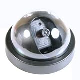 Imitation Dome Security Camera with LED Light, Warns Burglars Away