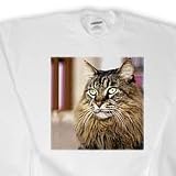 Cats - Maine Coon - Coasters