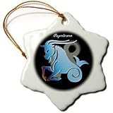 Capricorn Zodiac Sign 3 Inch Snowflake Porcelain Ornament 31NF6ivQfUL. SL160 Capricorn Zodiac Sign 3 Inch Snowflake Porcelain Ornament