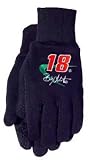#18 Bobby Labonte