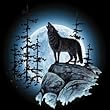 Wolf Moon 30 Adult T-Shirt