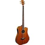 Fender Victor Bailey Signature Acoustic Bass, Natural