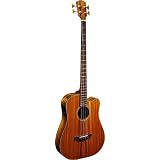 acoustic bass guitar Fender Victor Bailey Signature Acoustic Bass Natural Electronics acoustic bass guitar
