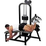 Selectorized Leg Extension/curl
