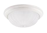 Westinghouse 64195 Two-Light Flush Mount Ceiling Fixture, White with Frosted Globes