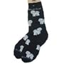 Bichon Poses Socks