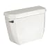 Crane Plumbing 3612NS-100 EconoMiser BigFoot Tank Toilet, White