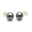 AAA Quality Round 7-7.5mm Akoya SaltWater cultured Black Pearl Earrings with 14K Yellow Gold Mount