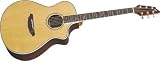 Breedlove Atlas Series Stage C25/SR Concert Acoustic-Electric Guitar, Natural