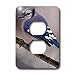 Birds - Blue Jay - Light Switch Covers - 2 plug outlet cover