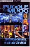 Puddle Of Mudd - Striking That Familiar Chord [UMD Mini for PSP] [2005]