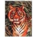 Junior Paint By Number Set Tiger