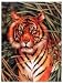 Junior Paint By Number Set Tiger