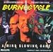 Burn: Cycle
