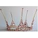 Gilt and Swarovski Crystal and Pearl Daisies Crown