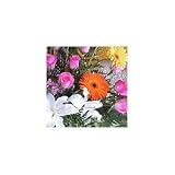 Curso De Produccion De Plantas Ornamentales De Jardin E Interior. Precio En Dolares