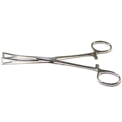 Surgical Steel Pennington (closed end) Clamp/Forceps w/ Ratchet Body Piercing Tool