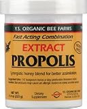 YS Royal Jelly/Honey Bee - Propolis Extract Ultimate Strength, 11.4 oz paste