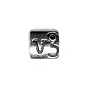 Capricorn Zodiac Sign Oriana Bead - Pandora Bead & Bracelet Compatible