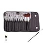 13 Piece Makeup Brush Set and Case