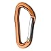 Dynotron Carabiner - Straightgate by Black Diamond