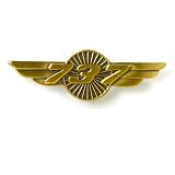 737 WINGS PIN