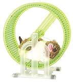 Happy Hamster with Wheel Runner Reviews 31NJ KXWEUL. SL160 Happy Hamster with Wheel Runner Reviews