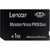 1GB Platinum Memory Stick Du