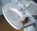 Whitehaus China, Biarritz U-Shaped Semi-Recessed Basin w/ Chrome Overflow - BTZ35 / BTZ351Hole - col