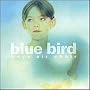 Blue Bird ~ Boys Air Choir